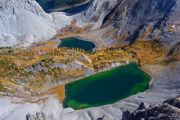 The Birdwood Lakes.