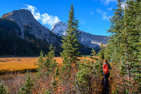Hiking along Commonwealth Creek.