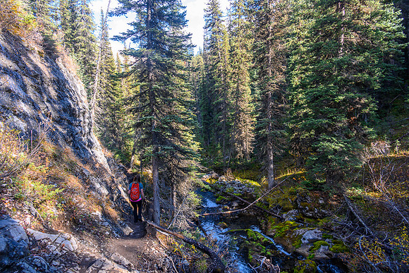 Hiking out along Commonwealth Creek.