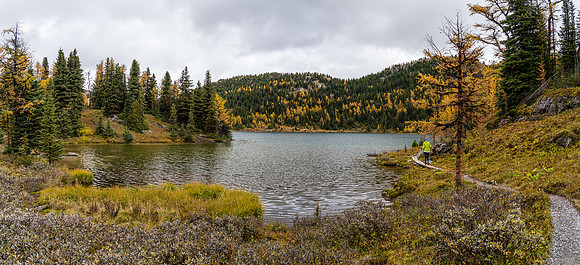Larix Lake.