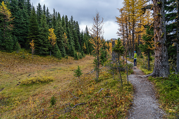 Hiking between Grizzly Lake and Larix Lake.