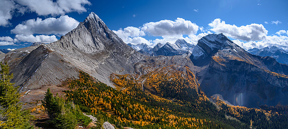 Birdwood, Prairie Lookout, French, Robertson, Whistling Rock, Sir Douglas and Snow Peak (R).