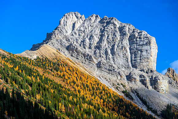 The Fist and larches.