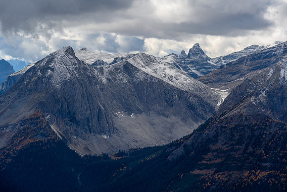 Leval (L) and Talon (R).