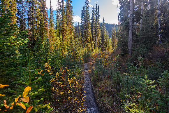 Hiking out along Commonwealth Creek.