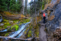 The trail narrows and grows muddy along Commonwealth Creek.