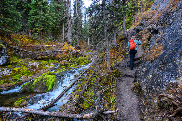 The trail narrows and grows muddy along Commonwealth Creek.