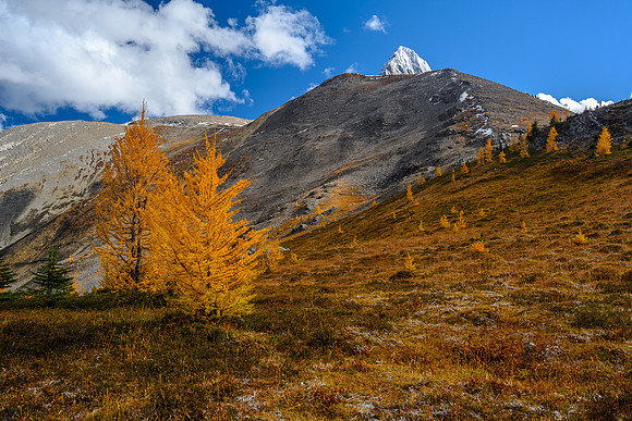 Hiking to Smuts Pass via the Birdwood Lakes.