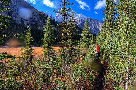 Hiking along Commonwealth Creek.