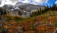 Hiking into the back of the Commonwealth Creek valley through avy debris.