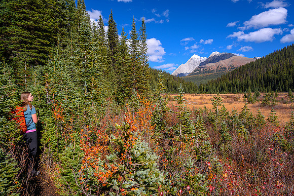 Hiking out along Commonwealth Creek.