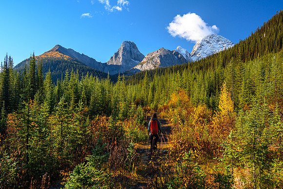 Commonwealth Ridge (L), Commonwealth Peak and Mount Birdwood ahead.