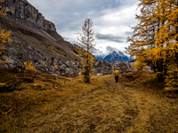 Returning down from Boulder Pass towards Lake Louise.