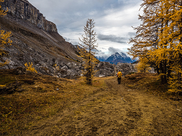 Returning down from Boulder Pass towards Lake Louise.