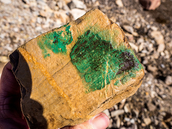A very green coating on this rock. Not paint.