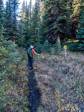 A plethora of ribbons and even a sign tells us that we are on route towards the Merlin Meadows campground.