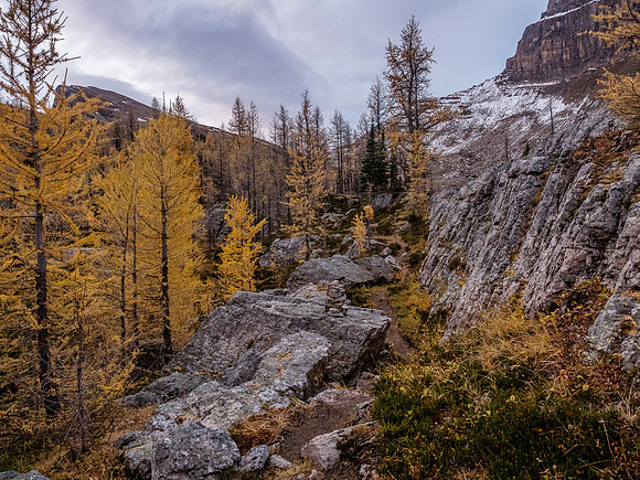 Hiking around the Skoki Lakes never disappoints.