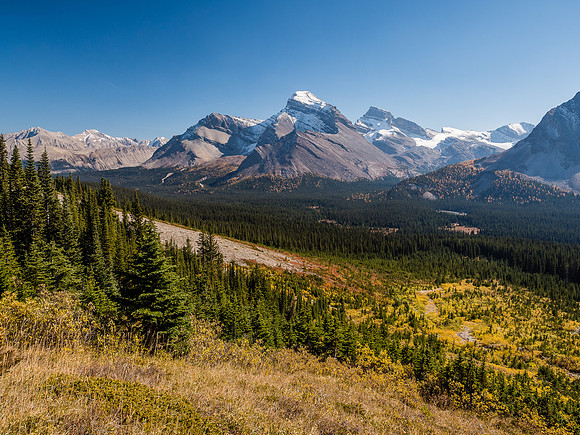 Brilliant fall colors.