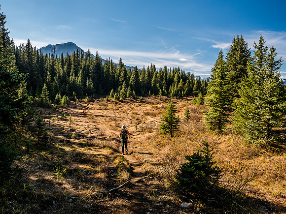 A good trail leads along the south edge of Little Pipestone Creek from the largest Red Deer Lake.