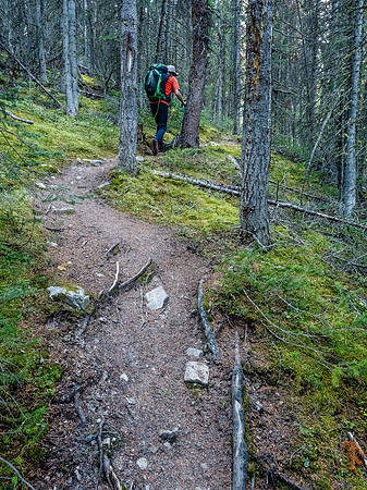 Steep forested trail to Merlin Lake.