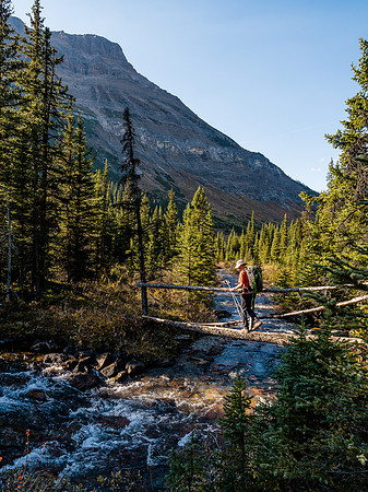 This rickety bridge crosses the stream running out of Castilleja and Merlin Lakes just downstream of the Merlin Meadows CG.