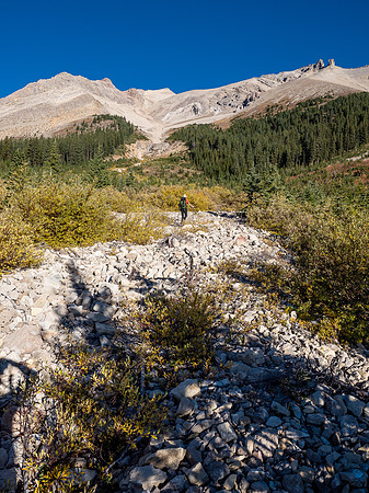 In the lower gully.