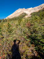 Searching for the true center of the gully which is free of all these nasty foreground shrubs and trees.