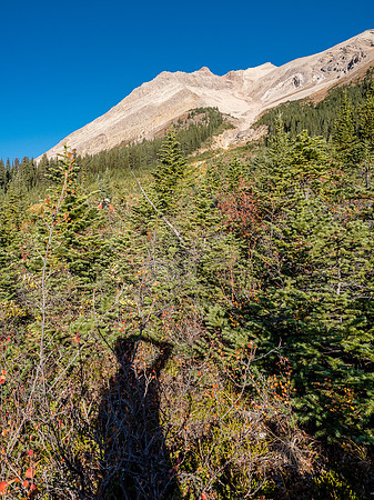 Searching for the true center of the gully which is free of all these nasty foreground shrubs and trees.