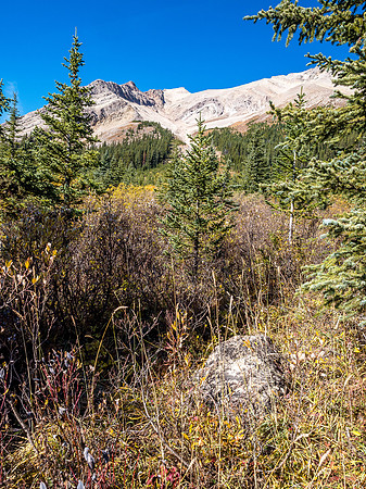 A last look up the long gully.