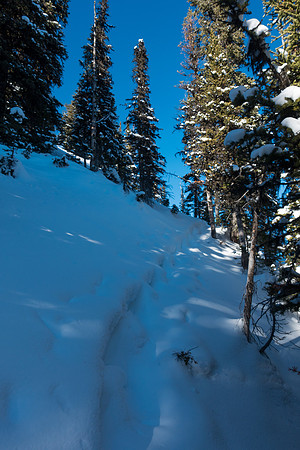 In the trees, the track was easily visible and made a huge difference, giving me a semi-solid base to walk on.