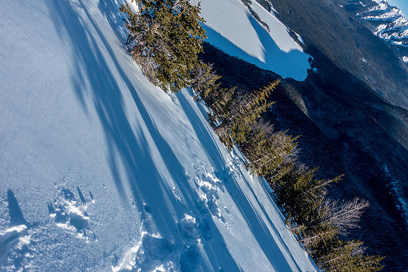 The ridge gets fairly steep once you start breaking tree line. I also lost the track here...