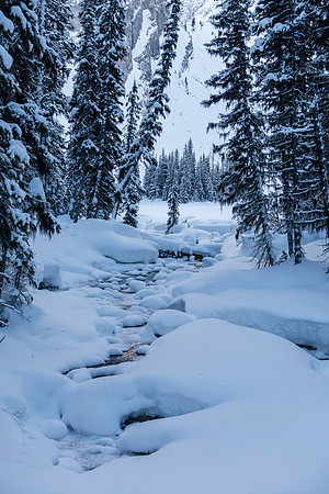 Photo up Rawson Creek towards Rawson Lake from the dam crossing.