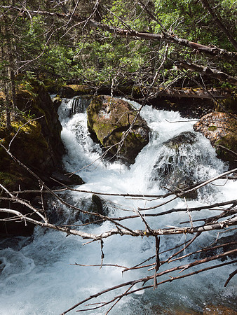 Lots of flowing water this summer.