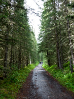 Memorial Lakes