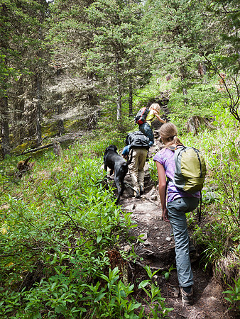 The trail steepens.