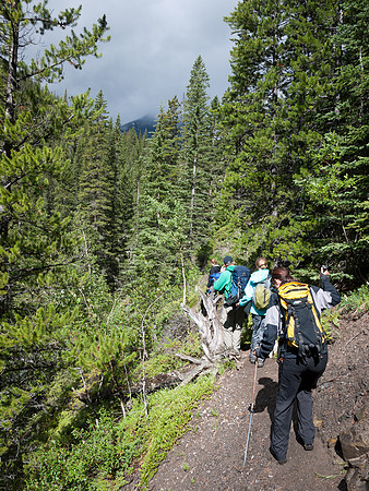 Now we're on the narrow trail to the lakes - sunshine!
