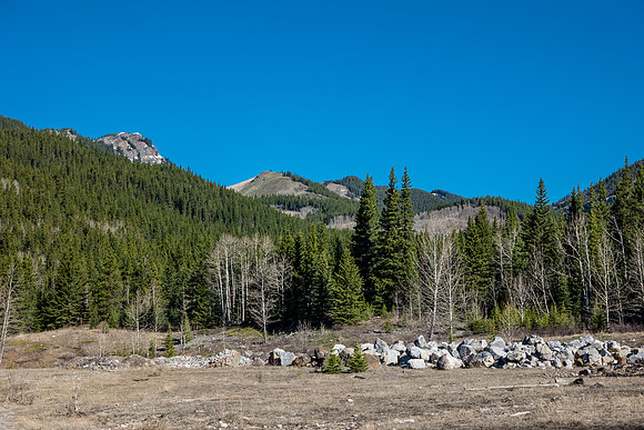 From the first picnic table clearing the first highpoint of the day is visible - looking deceptively snow free.