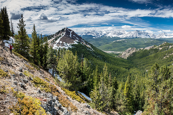 We managed to stay on the dry west side of the third ridge, following a sheep trail and running into the sheep.