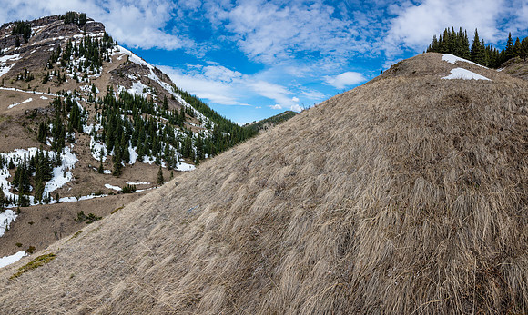 Grassy hiking. Junction Hill at left.