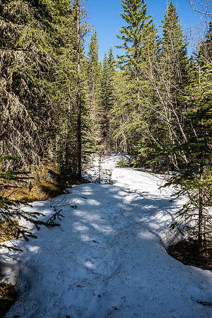 Notice how there's only snow on the freaking trail?! Grrr. So annoying to be stumbling around on snow with perfectly dry forest right next to you on either side.
