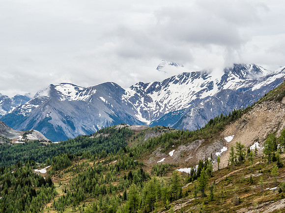 Looking towards Nestor Peak.