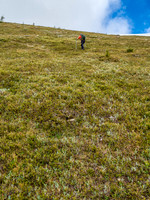 Very steep vegetated slopes to the summit above the cliff band.