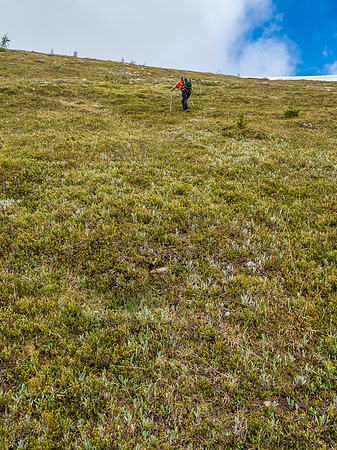 Very steep vegetated slopes to the summit above the cliff band.