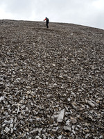 The photo pretty much summarizes the scrambling on Fatigue. The scree is actually not that bad - I've been on far worse in the Rockies.