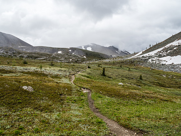 The trail to Citadel Pass.
