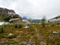Looking back towards Citadel Pass from the faint trail.