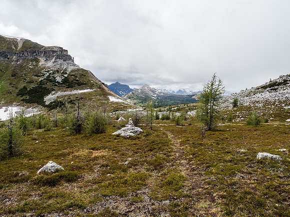 Looking back towards Citadel Pass from the faint trail.