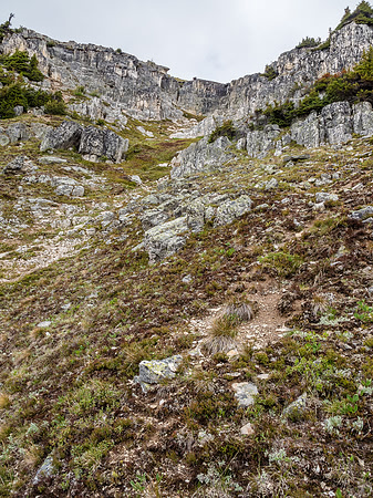 Our ascent line is obvious above.