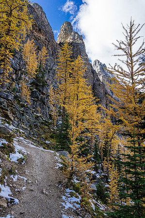 Hiking up the switchbacks to the top of the Beehive.