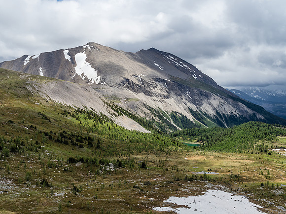 Great views towards Golden Mountain which would become the third peak of the day for us, many hours later.